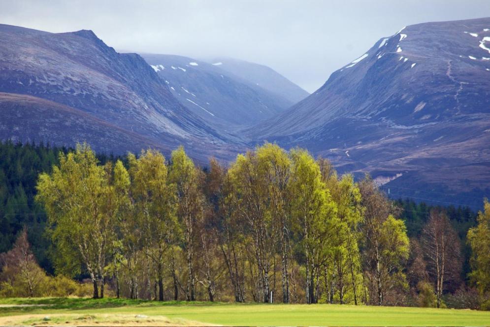 Silverglades Holiday Homes Aviemore Exterior photo